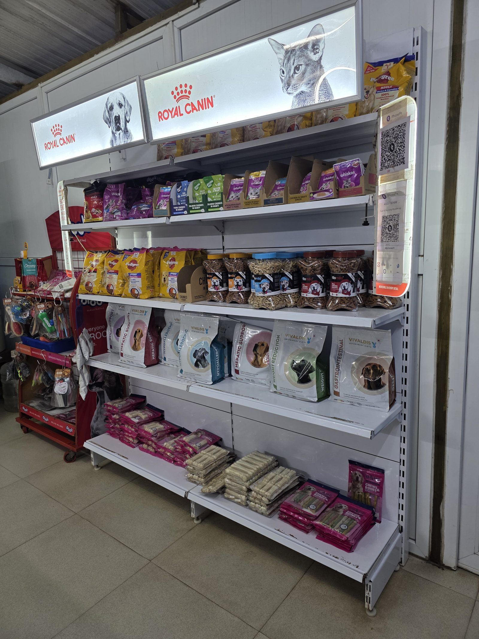 Reception at RNK Veterinary Clinic, Sulur